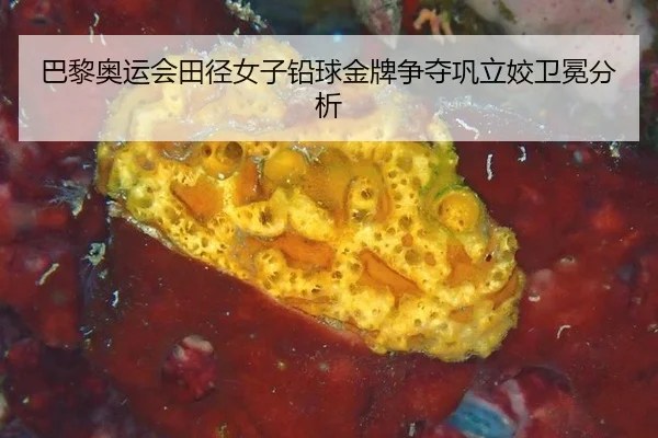 ba-li-ao-yun-hui-tian-jing-nv-zi-qian-qiu-jin-pai-zheng-duo-gong-li-jiao-wei-mian-fen-xi-2-296.jpg