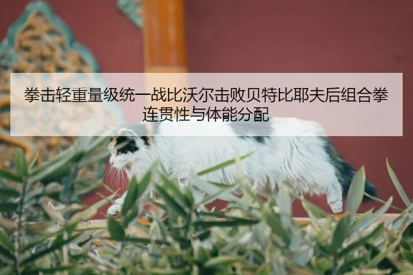 quan-ji-qing-zhong-liang-ji-tong-yi-zhan-bi-wo-er-ji-bai-bei-te-bi-ye-fu-hou-zu-he-quan-lian-guan-xing-yu-ti-neng-fen-2-782.jpg