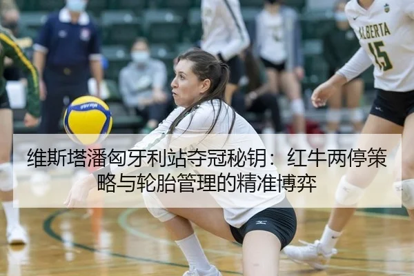 wei-si-ta-pan-xiong-ya-li-zhan-duo-guan-mi-yao-hong-niu-liang-ting-ce-lve-yu-lun-tai-guan-li-de-jing-zhun-bo-yi-2-911.jpg